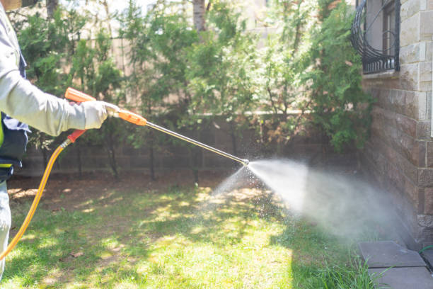 Best Residential Pest Control  in Reed City, MI